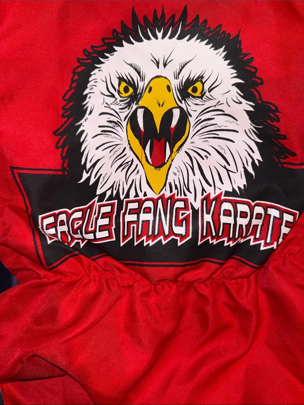Cobra Kai red martial Arts Style Jacket with Eagle and pants and belt